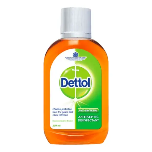 [100967] DETTOL Solution 250ml